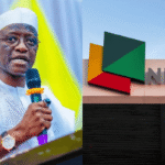 NISO Boss Warns Nigerians Cannot Afford Further Power Tariff Hikes